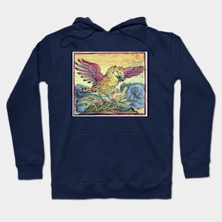 Colorful Phoenix is Reborn From the Ashes of Fire Hoodie